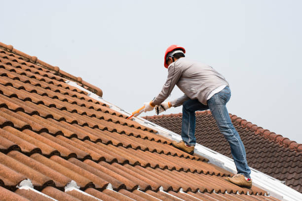 Best Roof Maintenance and Cleaning  in Mogadore, OH